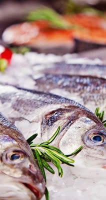 Matriel pour poissonnerie
