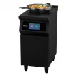 Fourneau  induction pour wok sur placard CASSELIN