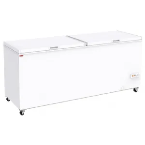 Conglateur coffre porte pleine 655 Litres DIAMOND SCO66-C6