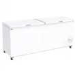 Conglateur coffre porte pleine 655 Litres DIAMOND