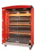 Rôtissoire professionnelle à gaz 8 broches DOREGRILL MAGFLAM 8 petite longueur