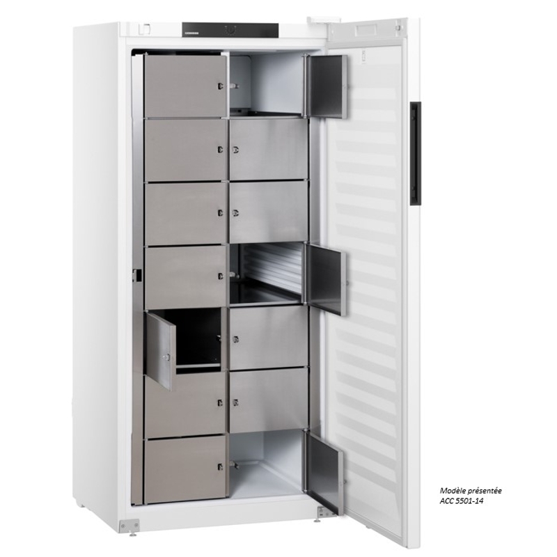 Frigo professionnel 10 casiers 544 Litres fermeture à cadenas