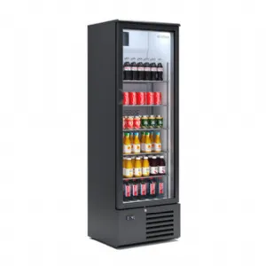 Armoire à boisson 1 porte vitrée 283 Litres positif compatible 60 Hz INFRICO ERV53-60hz