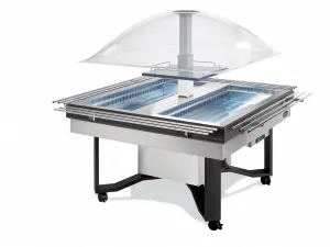 Buffet réfrigéré central carré avec cuve pour bacs GN1/1 SCAIOLA CUPOLA INOX
