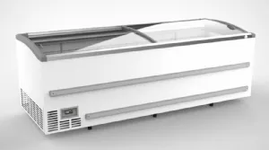 Conglateur coffre portes coulissantes vitres 900 Litres XS812